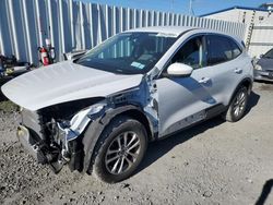 Salvage cars for sale at Albany, NY auction: 2020 Ford Escape SE