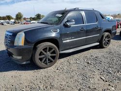 Cadillac salvage cars for sale: 2009 Cadillac Escalade EXT Luxury