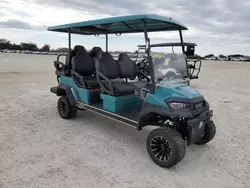 2024 Golf Cart en venta en Arcadia, FL