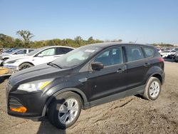 Ford salvage cars for sale: 2014 Ford Escape S