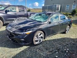 Salvage cars for sale at Elmsdale, NS auction: 2024 Hyundai Elantra Limited