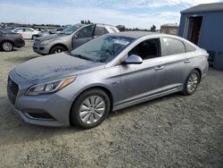 Hyundai Vehiculos salvage en venta: 2016 Hyundai Sonata Hybrid