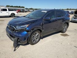 Salvage cars for sale at Harleyville, SC auction: 2022 Honda CR-V EXL