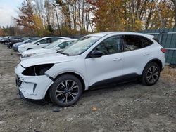 Salvage cars for sale at Candia, NH auction: 2021 Ford Escape SE