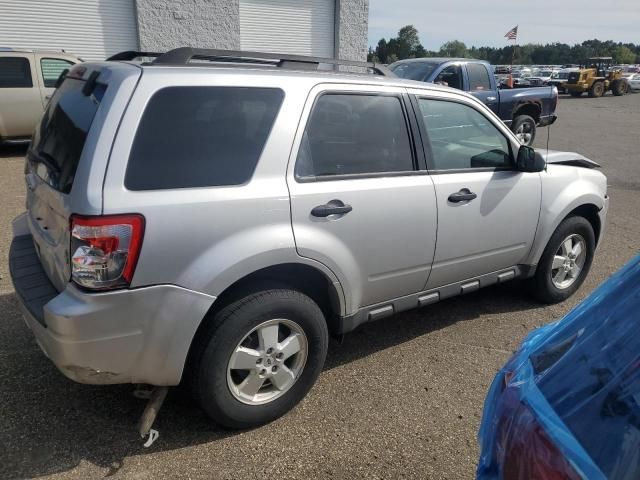 2011 Ford Escape XLT