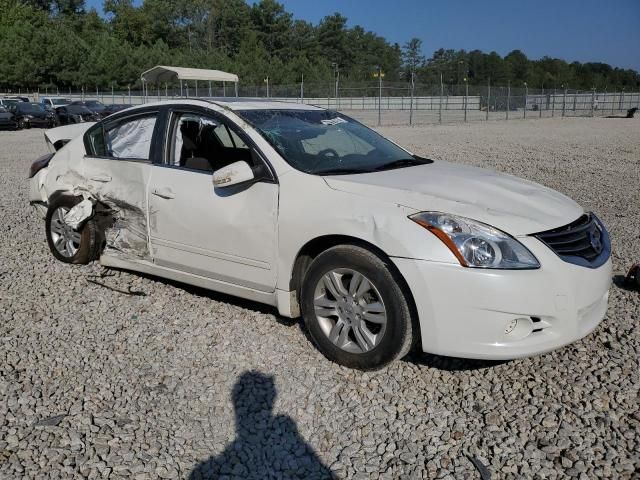 2010 Nissan Altima Base