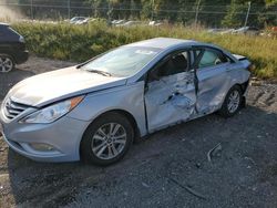 Salvage cars for sale at Baltimore, MD auction: 2013 Hyundai Sonata GLS