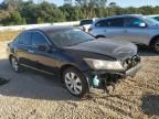 2010 Honda Accord EX