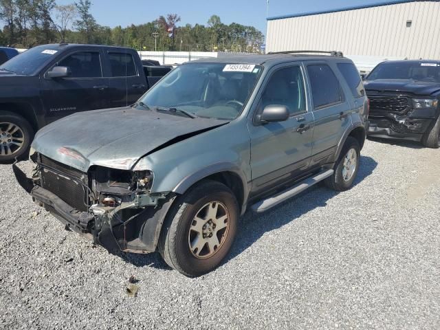 2006 Ford Escape XLT