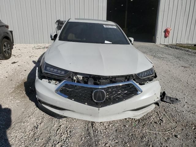 2019 Acura TLX Advance