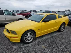 Ford Mustang gt salvage cars for sale: 2005 Ford Mustang GT