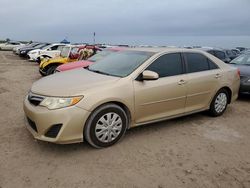 Salvage cars for sale at Riverview, FL auction: 2012 Toyota Camry Base