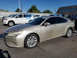 Lexus es 300h salvage cars for sale: 2013 Lexus ES 300H