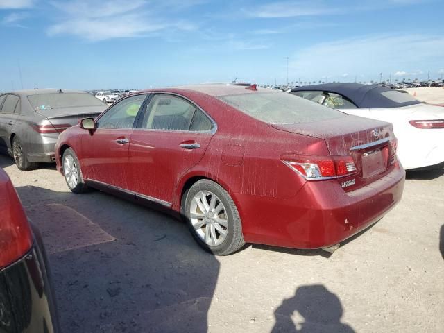 2010 Lexus ES 350