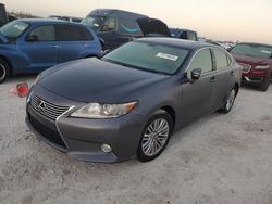 2013 Lexus ES 350 en venta en Arcadia, FL