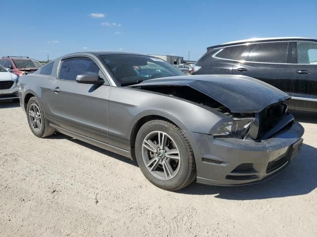 2013 Ford Mustang