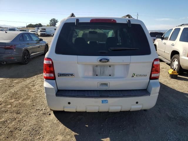 2011 Ford Escape Hybrid