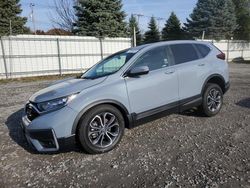 Salvage cars for sale at Albany, NY auction: 2022 Honda CR-V EX