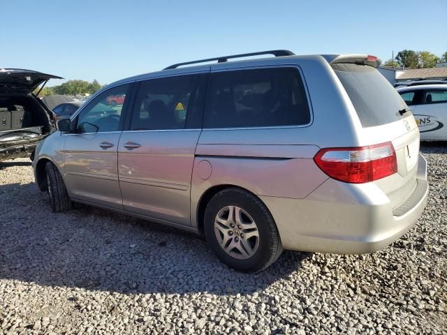 2005 Honda Odyssey EXL