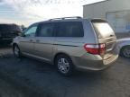 2007 Honda Odyssey EXL