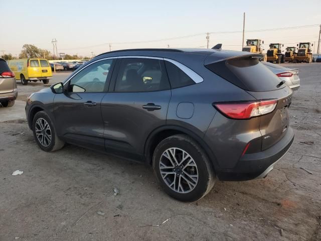 2021 Ford Escape SEL