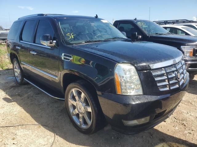 2009 Cadillac Escalade Luxury