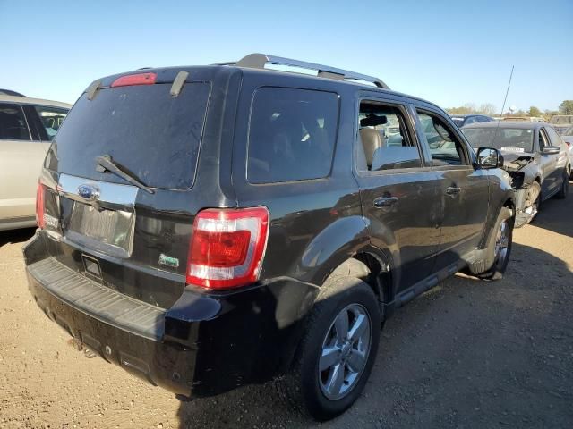 2010 Ford Escape Limited