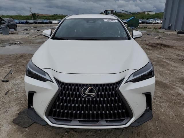 2024 Lexus NX 250 Base