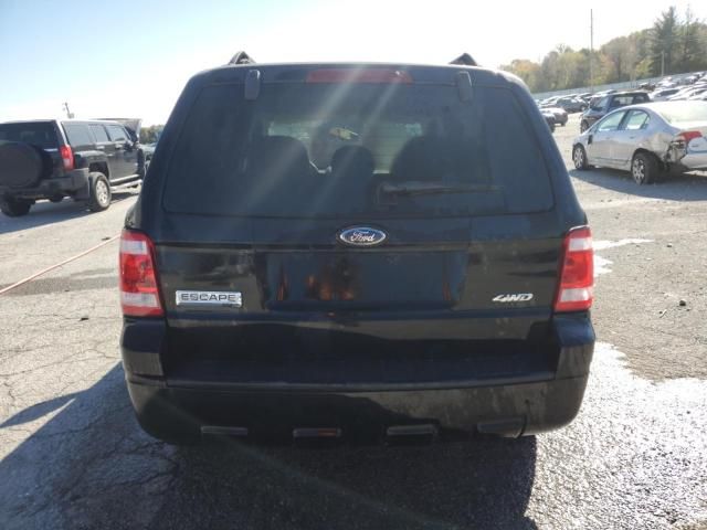 2008 Ford Escape XLT