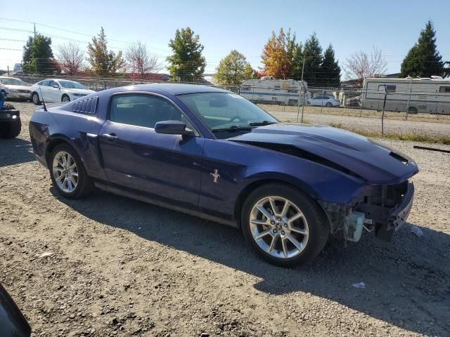 2010 Ford Mustang