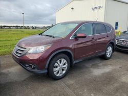 Flood-damaged cars for sale at auction: 2014 Honda CR-V EX