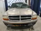 1999 Dodge Durango