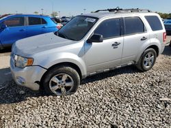 Salvage cars for sale from Copart Indianapolis, IN: 2010 Ford Escape XLT