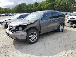 Honda salvage cars for sale: 2010 Honda CR-V EX