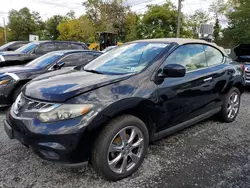 Salvage cars for sale at Marlboro, NY auction: 2014 Nissan Murano Crosscabriolet