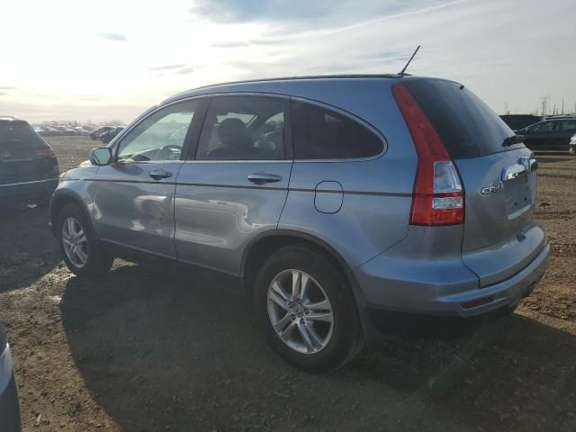 2010 Honda CR-V EXL