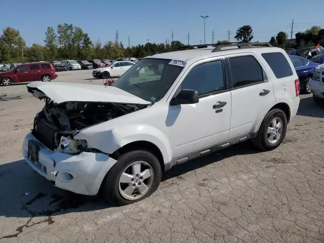 2010 Ford Escape XLT