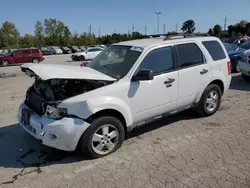 Salvage cars for sale from Copart Bridgeton, MO: 2010 Ford Escape XLT