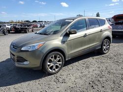 Ford salvage cars for sale: 2013 Ford Escape SEL