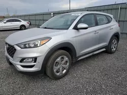 Salvage cars for sale at Ottawa, ON auction: 2019 Hyundai Tucson SE