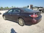 2004 Lexus ES 330