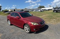 Salvage cars for sale at Apopka, FL auction: 2006 Lexus IS 250