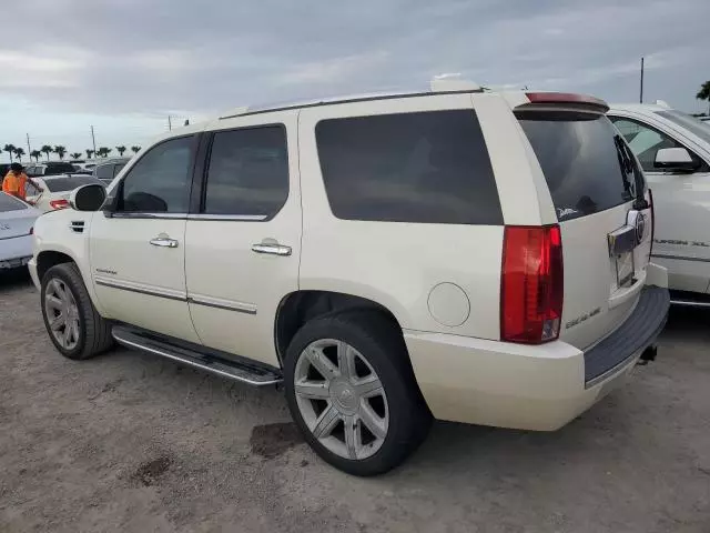 2007 Cadillac Escalade Luxury