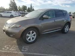 Carros salvage sin ofertas aún a la venta en subasta: 2010 Nissan Murano S