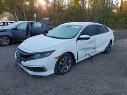 2020 Honda Civic EX en venta en Cookstown, ON