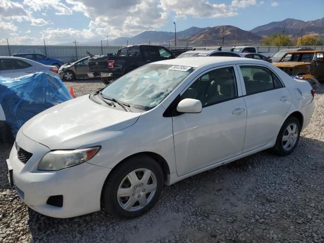 2010 Toyota Corolla Base