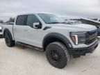 2024 Ford F150 Raptor