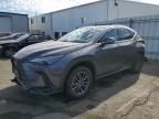 2024 Lexus NX 350H Base