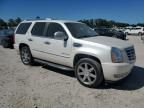 2010 Cadillac Escalade Hybrid