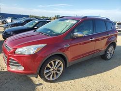 Salvage cars for sale at Arcadia, FL auction: 2016 Ford Escape SE